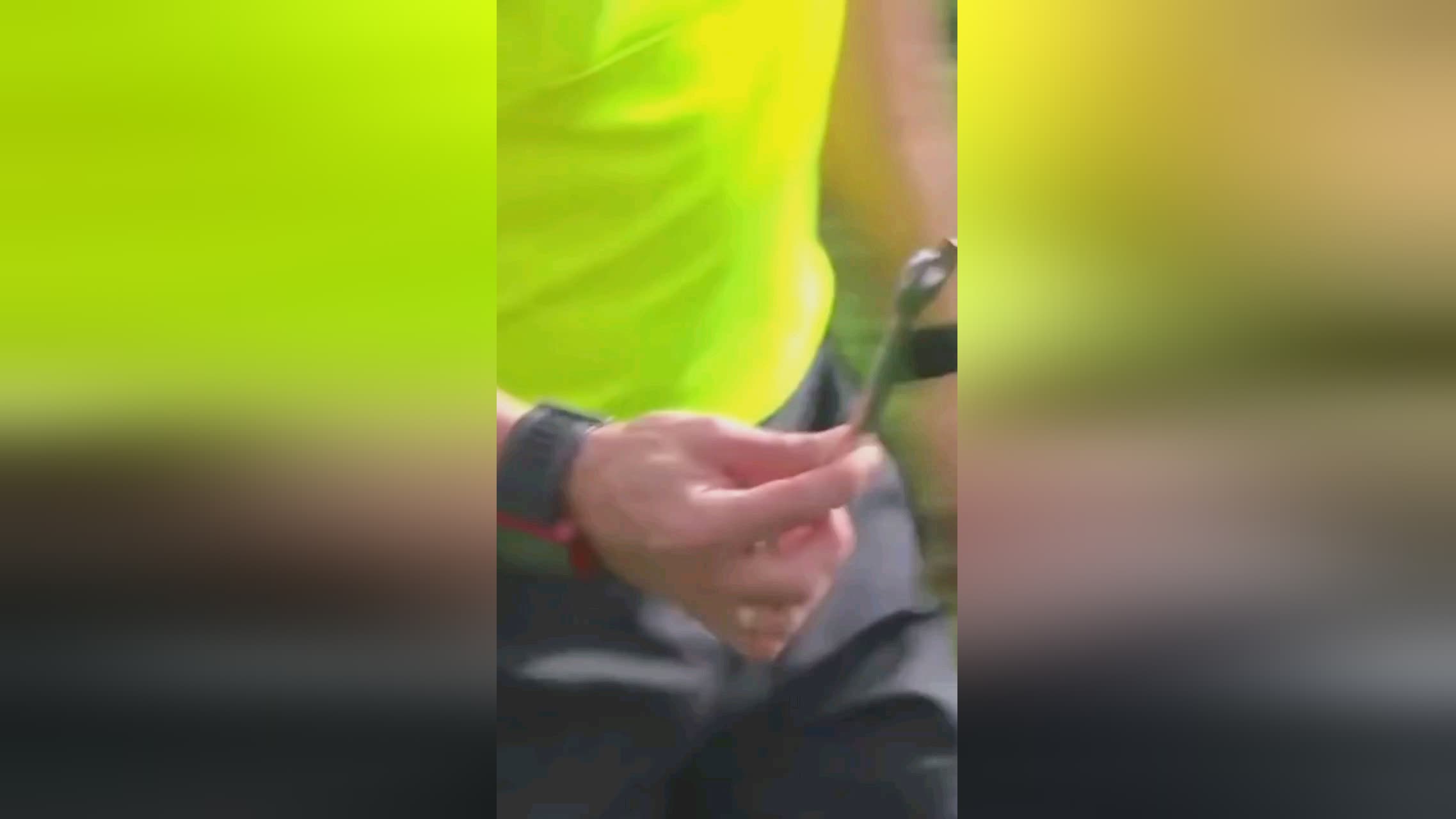解乒